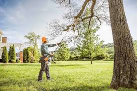How Our Tree Care Process Works  in  Fort Plain, NY